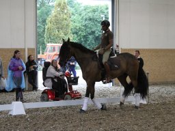 IMG_1541_web
